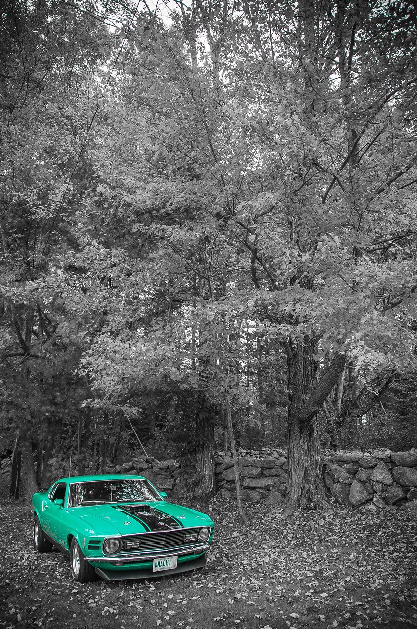 張偉麗展現(xiàn)斗志與實(shí)力，最新比賽動態(tài)速遞