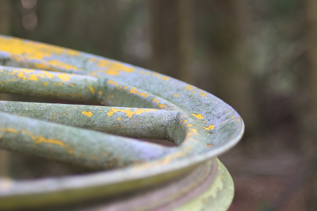 辰溪新聞快訊，縣域動(dòng)態(tài)與社會(huì)熱點(diǎn)聚焦速遞