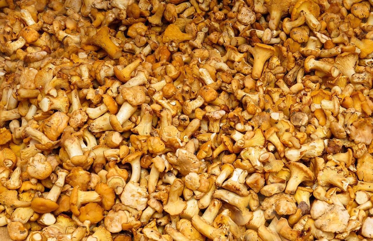 寧波房產稅最新動態(tài)2015年，政策調整及市場反應分析