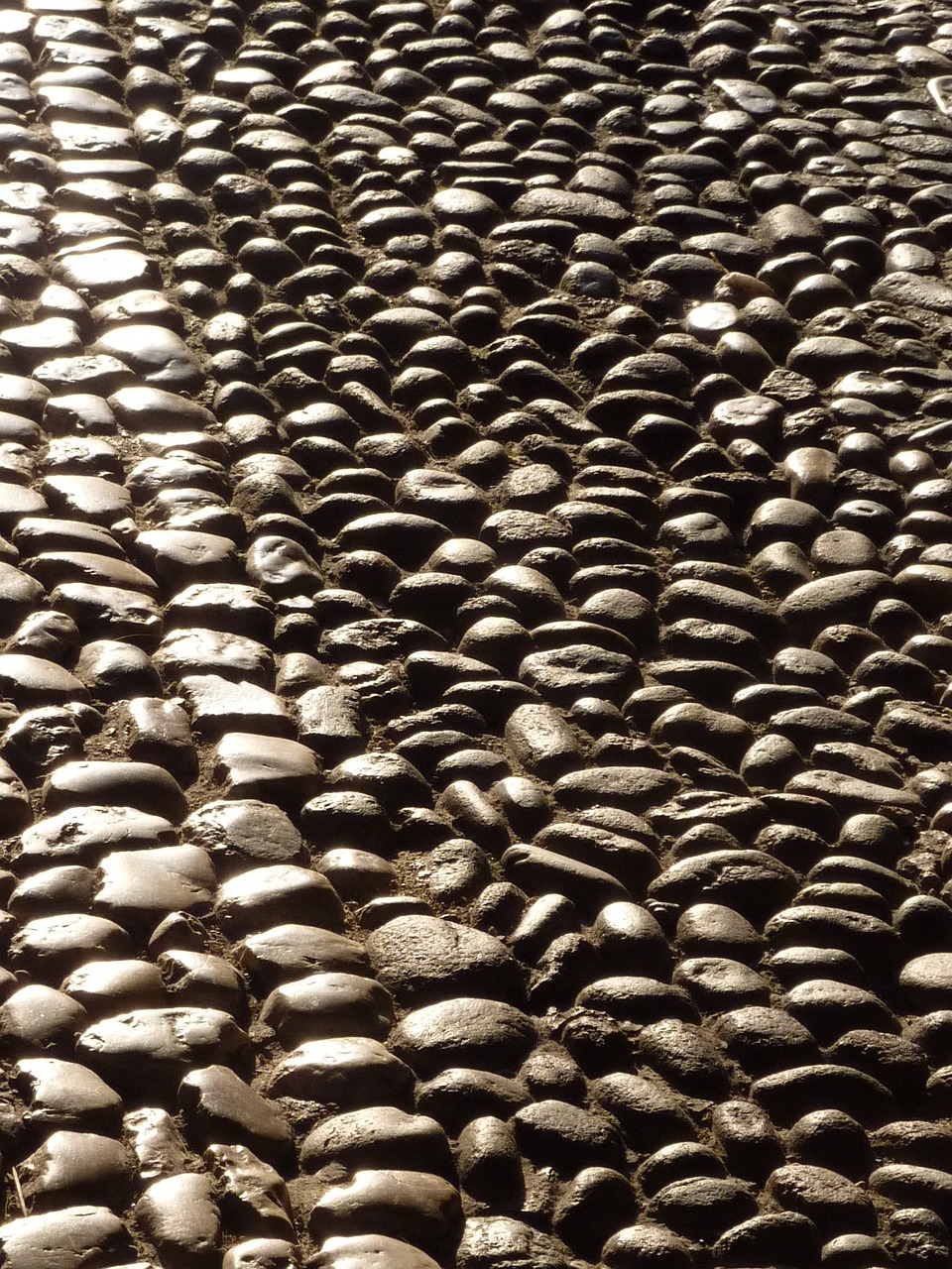 哈牡高鐵持續(xù)創(chuàng)新，引領(lǐng)東北交通新篇章的最新動態(tài)