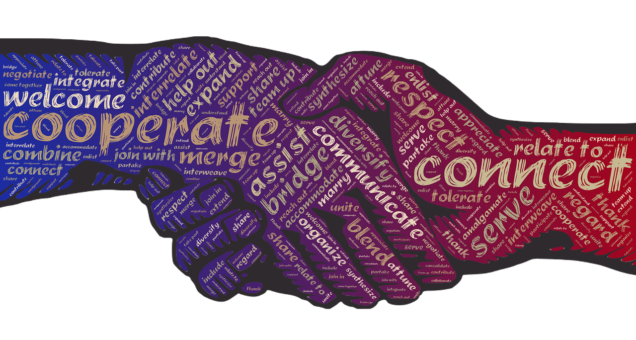 中巴關(guān)系深化合作，共謀發(fā)展新動(dòng)態(tài)