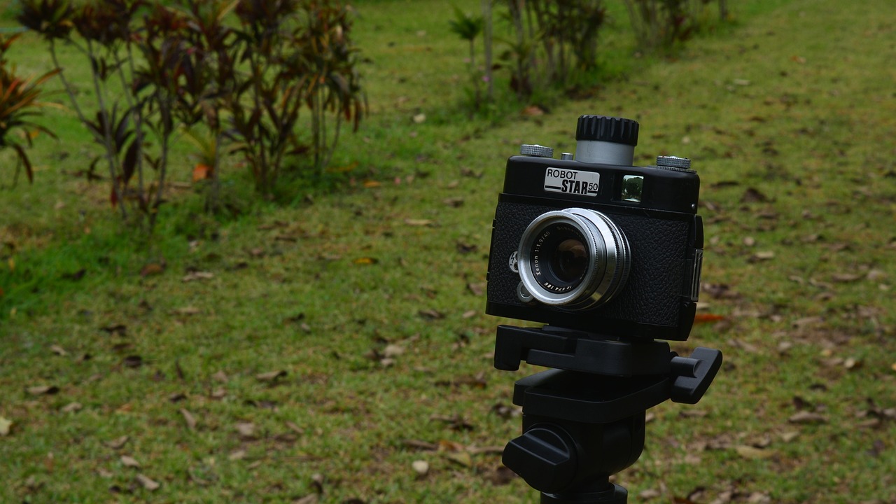 你是我 第19頁(yè)