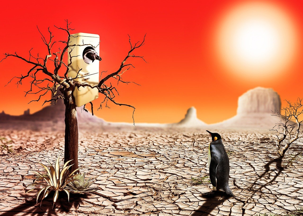 熱門動(dòng)漫的魅力與影響力探索