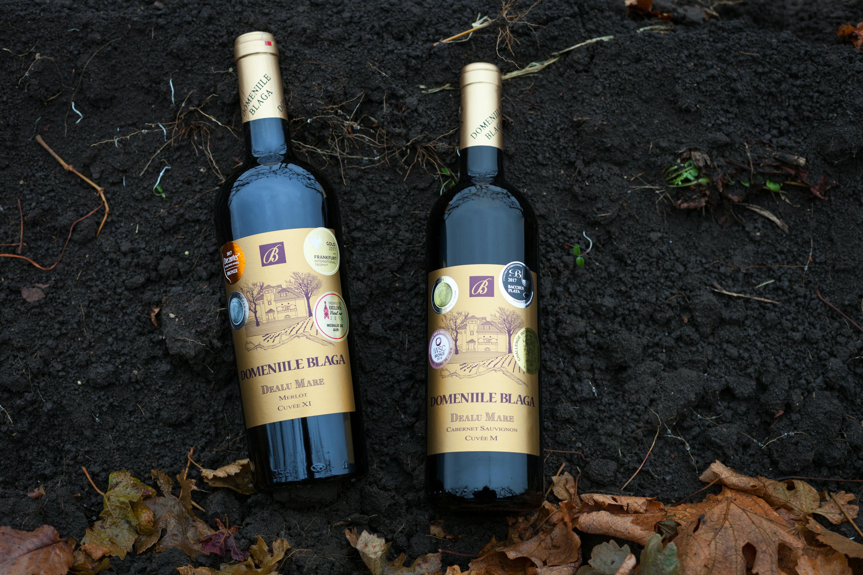 山東欣馬酒業(yè)酒價(jià)格表揭秘，價(jià)格背后的故事與深度解析