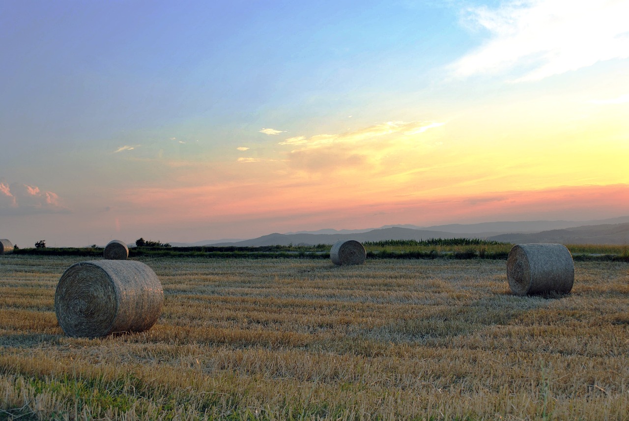 新型小型水稻收割機的技術(shù)革新與農(nóng)業(yè)發(fā)展推動農(nóng)業(yè)升級