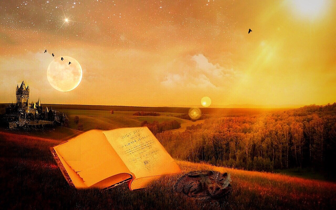 舞臺(tái)背后的故事，露鳥演員揭秘之旅