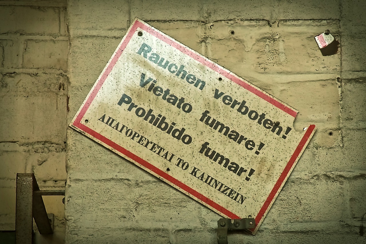 最新注冊企業(yè)名單揭秘，背后的故事與啟示