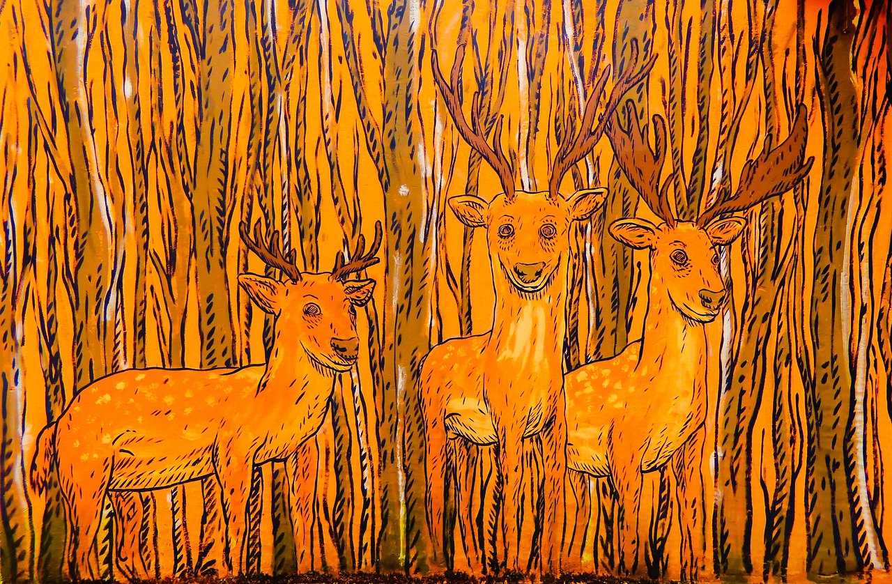 手繪動漫圖片，藝術(shù)與技術(shù)的完美融合創(chuàng)作欣賞