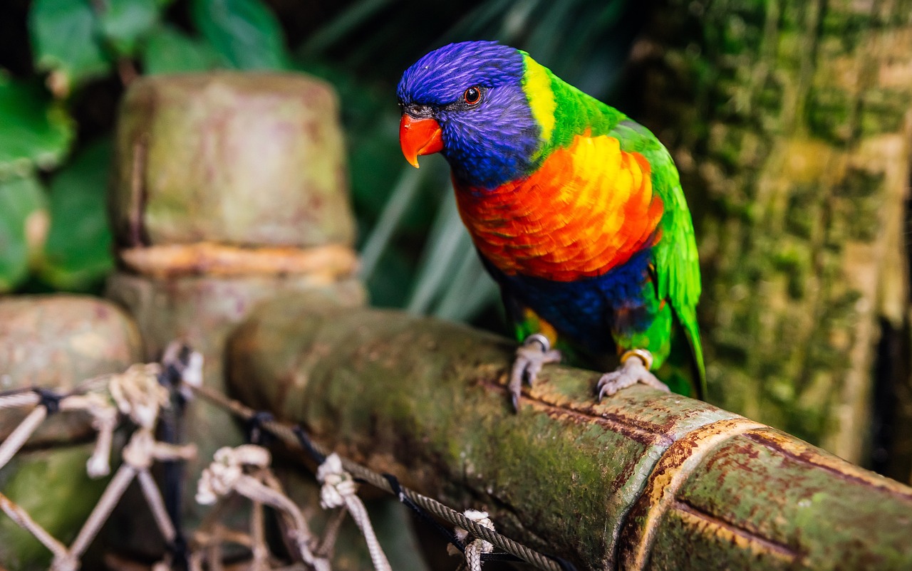 恒嘉產(chǎn)品 第650頁(yè)