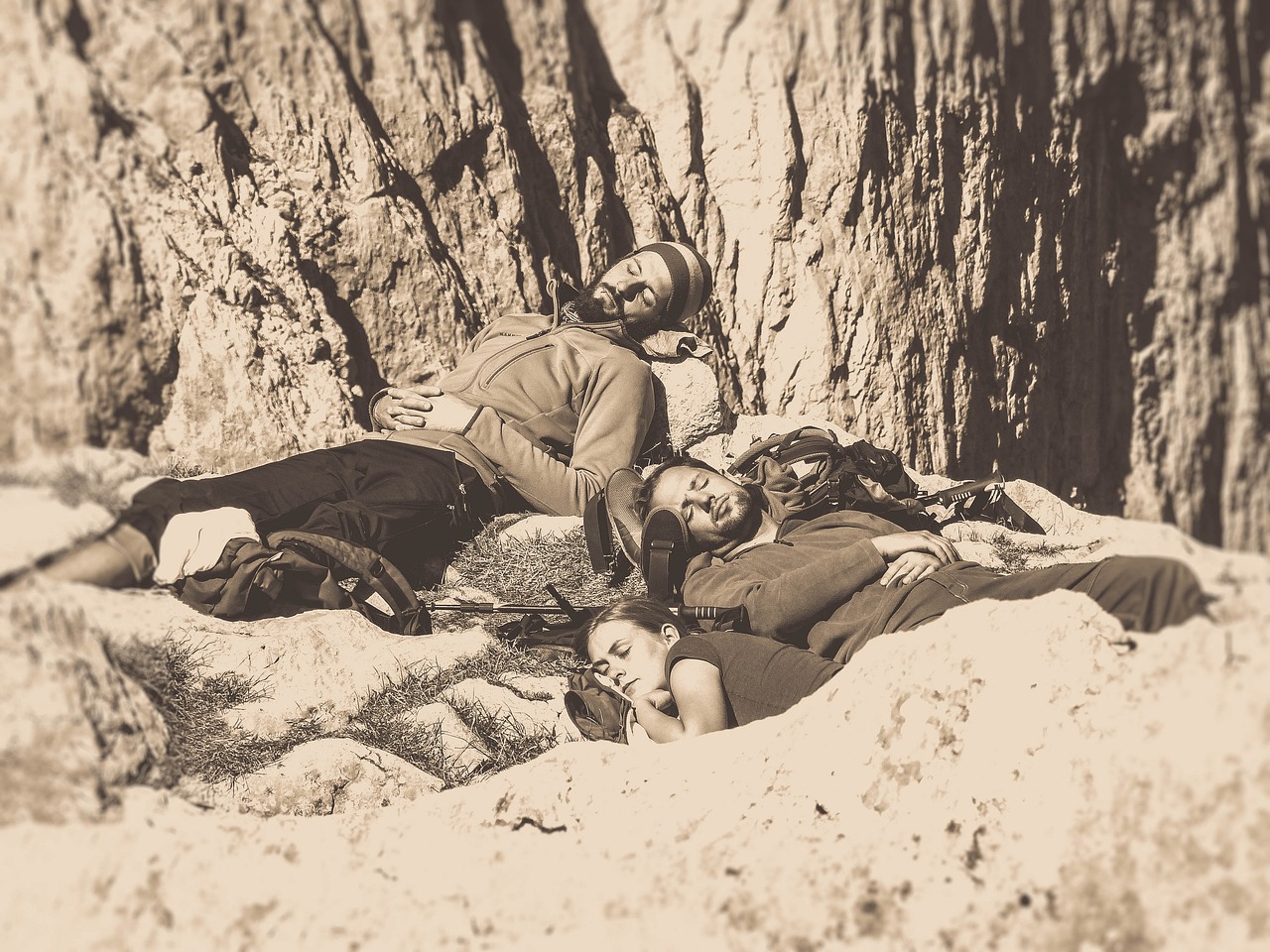 石家莊最新資訊概覽，時事動態(tài)一網(wǎng)打盡