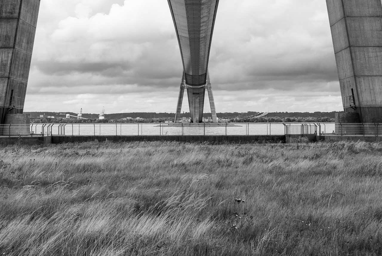 動漫文化的全球語言橋梁，英語表達與探索