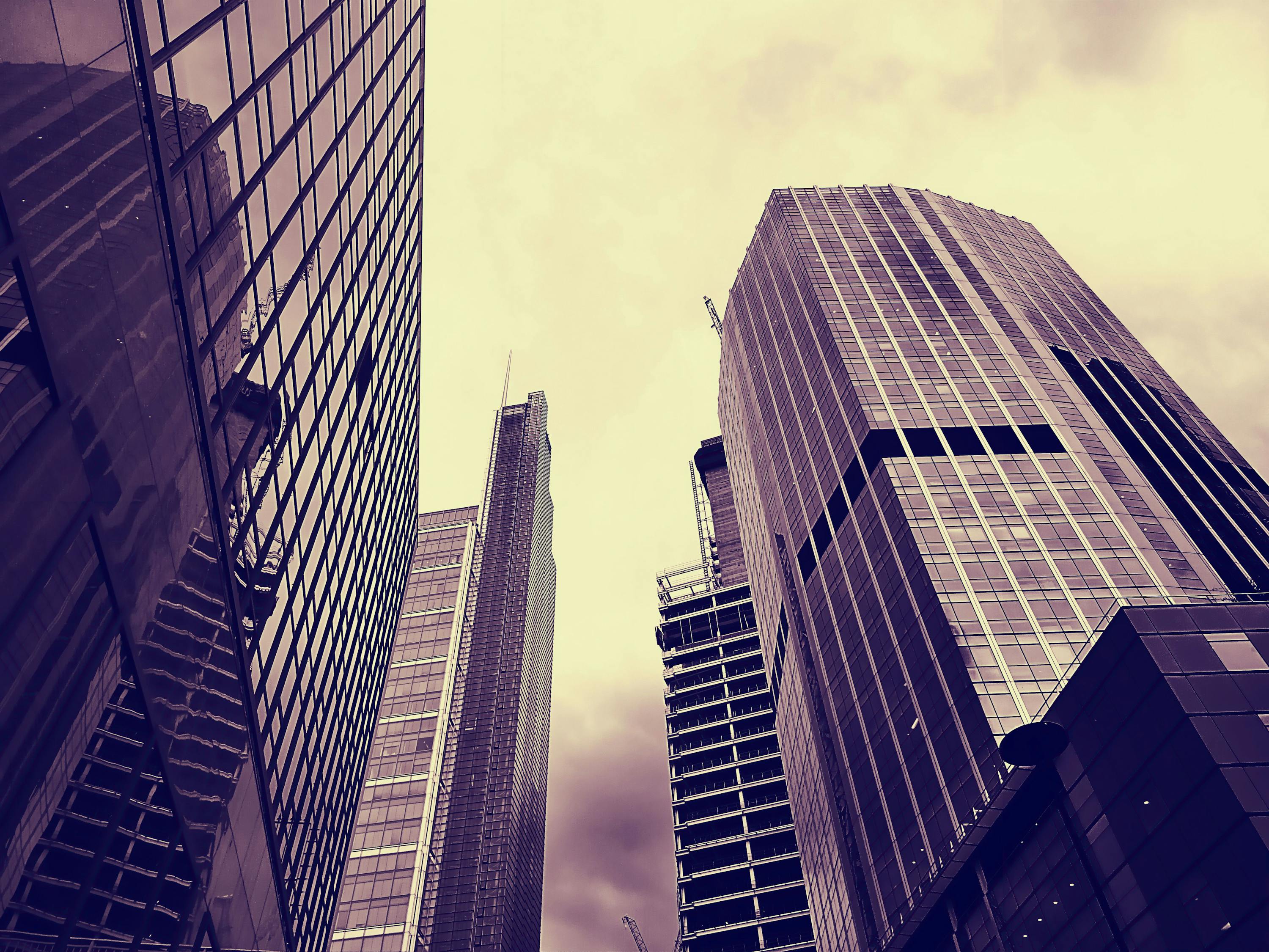 辛集市房產資訊更新，市場走勢、購房指南一網打盡！