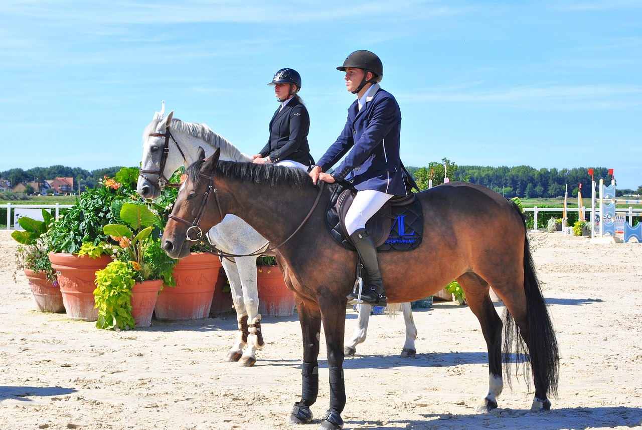 精彩的比賽，一場難忘的競技之旅