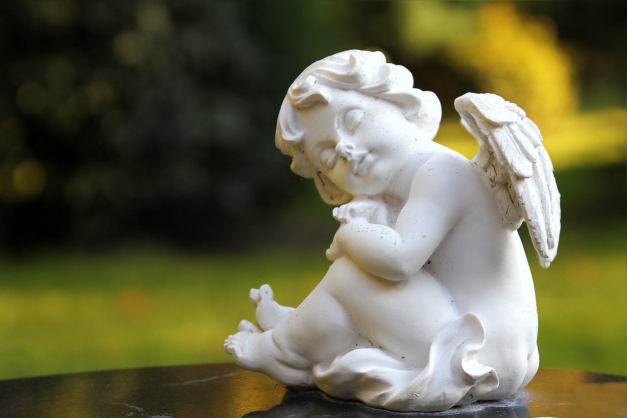 雅安地震最新動態(tài)，救援進展與社會關(guān)懷的深度融合關(guān)注救援進展與社會關(guān)懷的交融狀態(tài)