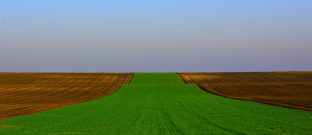 大林電廠(chǎng)最新動(dòng)態(tài)，邁向綠色可持續(xù)的未來(lái)之路