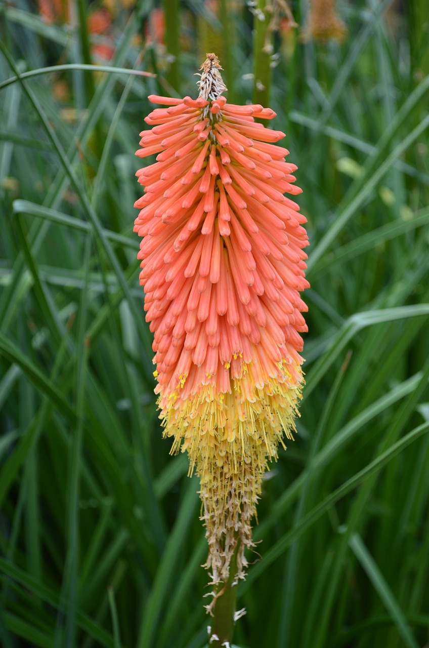 新澳天天開彩期期精準(zhǔn)，黯淡的1328.177