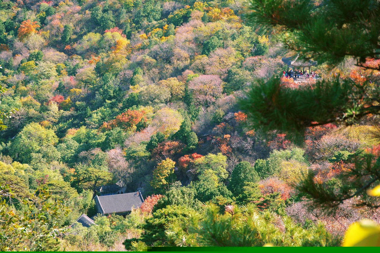 密云黑龍?zhí)毒皡^(qū)門票價格詳解及優(yōu)惠信息指南