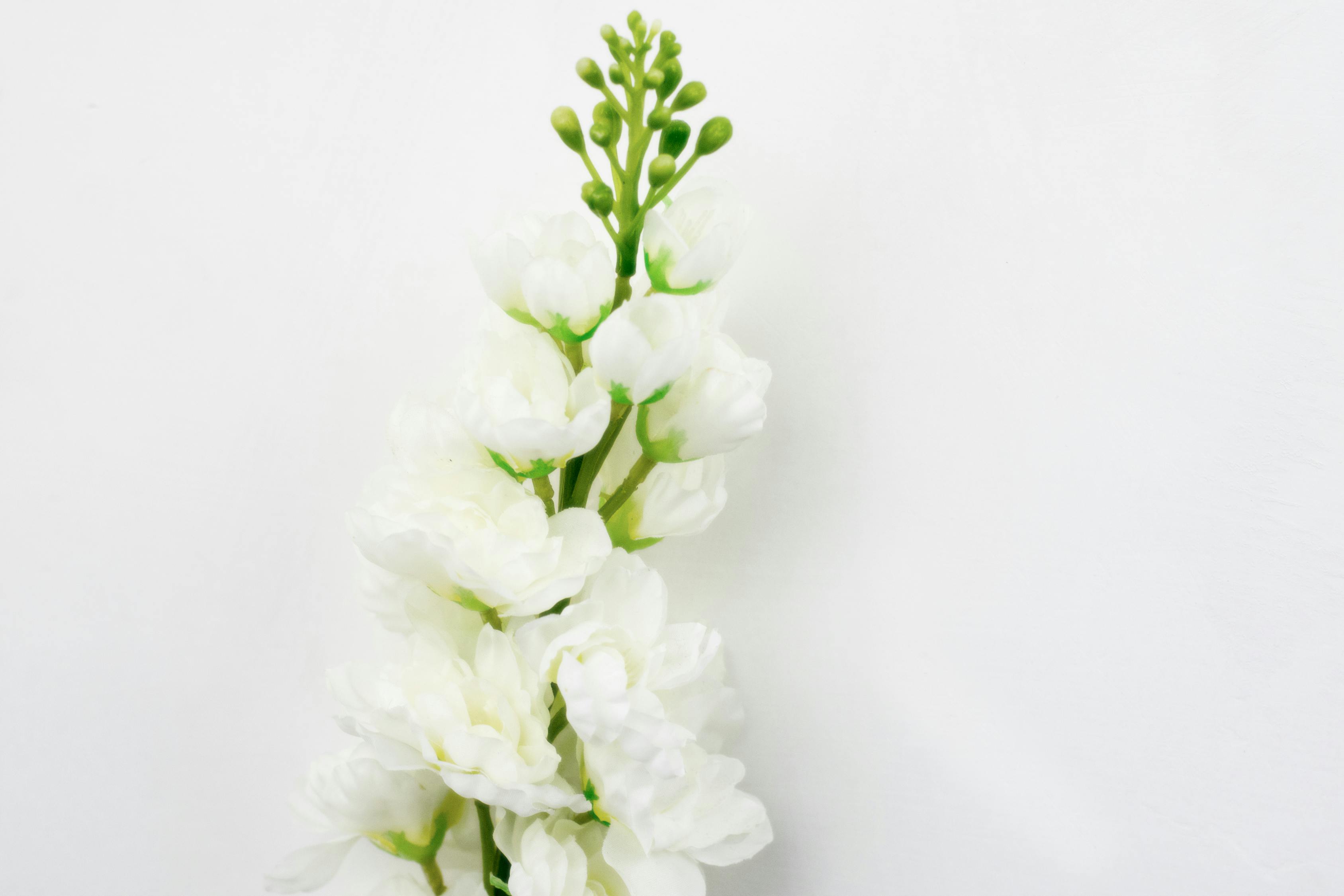 鳳凰傳媒股價動態(tài)更新，市場走勢分析與展望