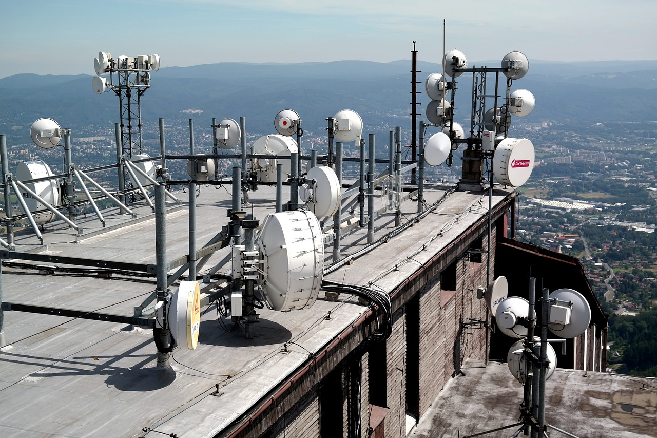 安丘大姜今日最新價格動態(tài)及分析