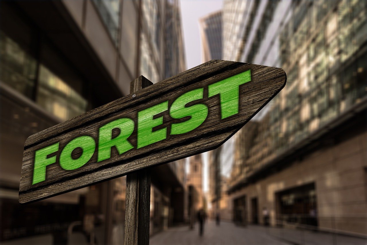 揭秘彩票背后的故事與期待，最新體彩開獎(jiǎng)信息一覽