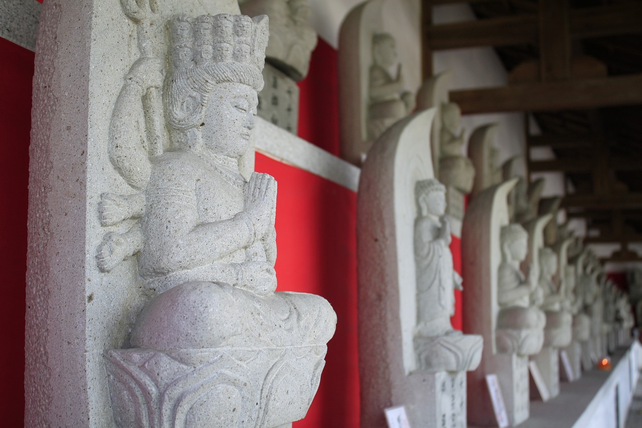 最新古典舞，傳統(tǒng)與現(xiàn)代的完美融合風(fēng)采展示