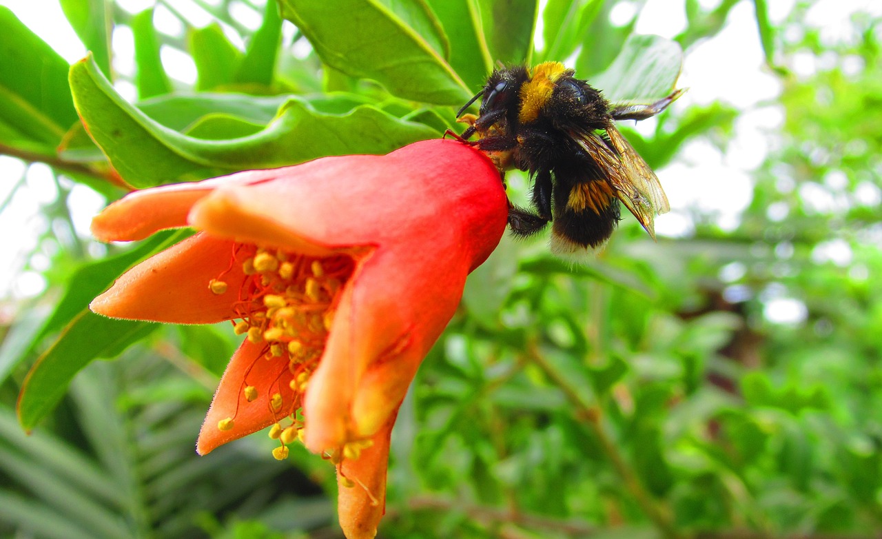 蠢臉新動(dòng)態(tài)，深層含義與未來展望
