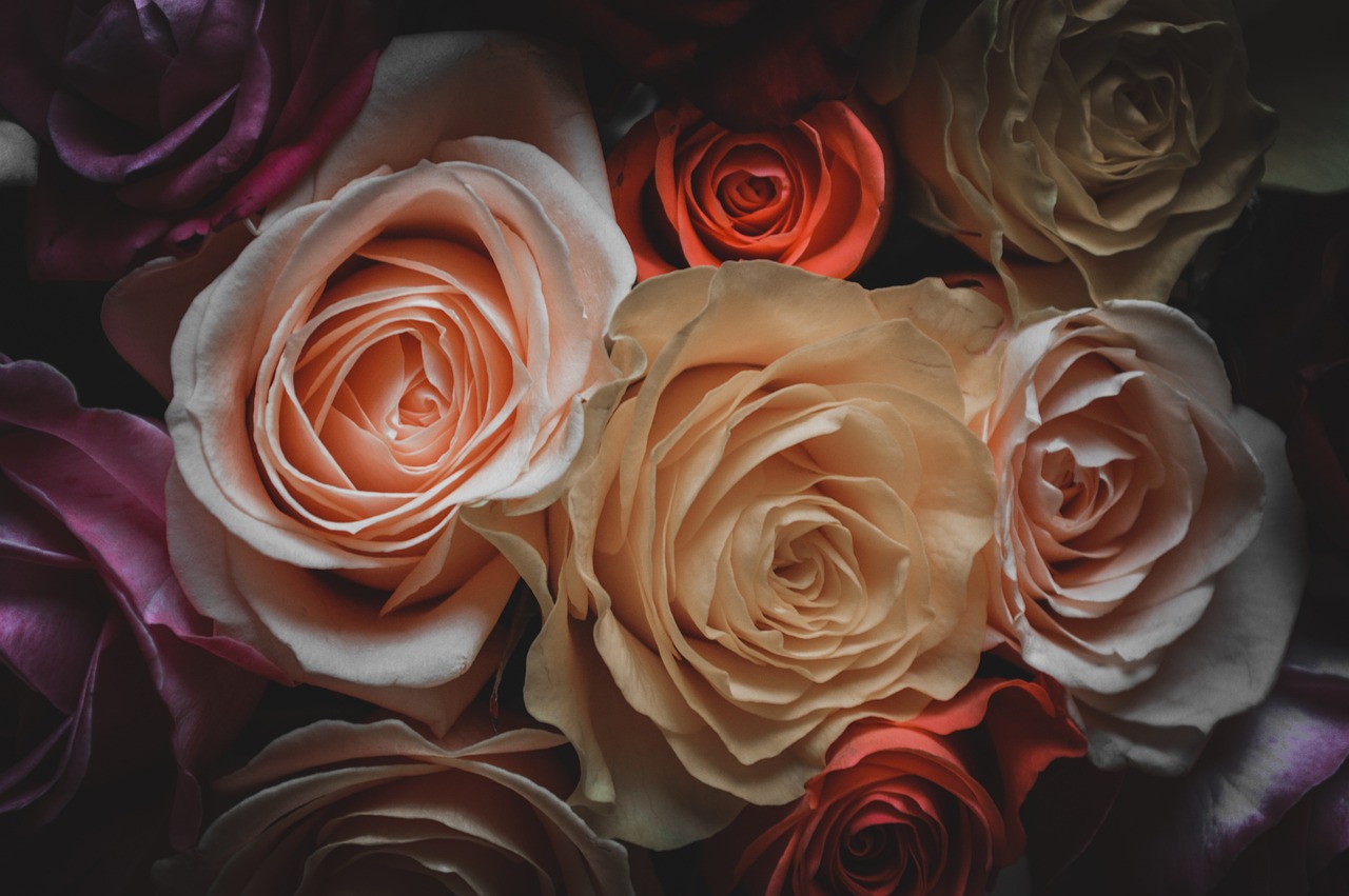 二次元?jiǎng)勇閭H圖片大全，探索愛(ài)情故事中的甜蜜瞬間