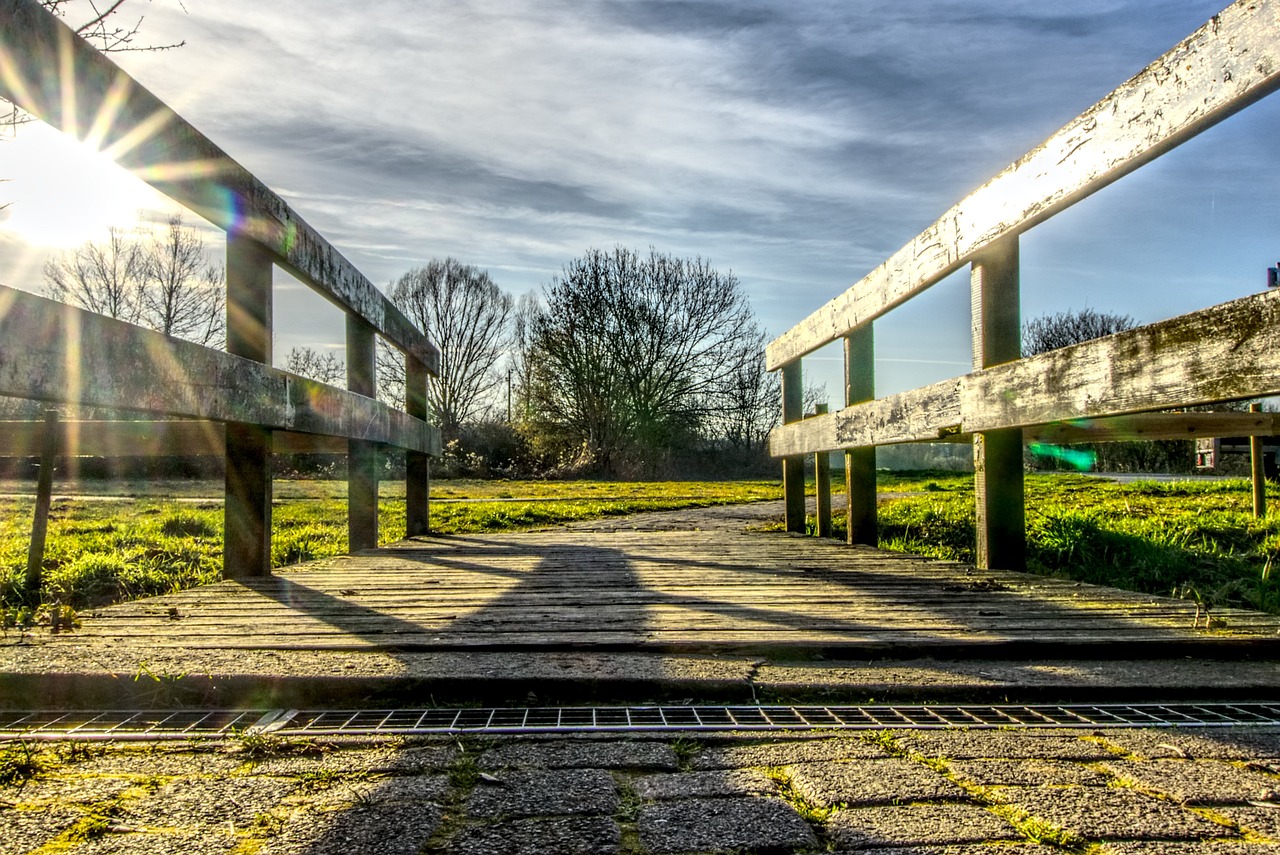 鄭爽新動(dòng)態(tài)，明星之光的持續(xù)閃耀