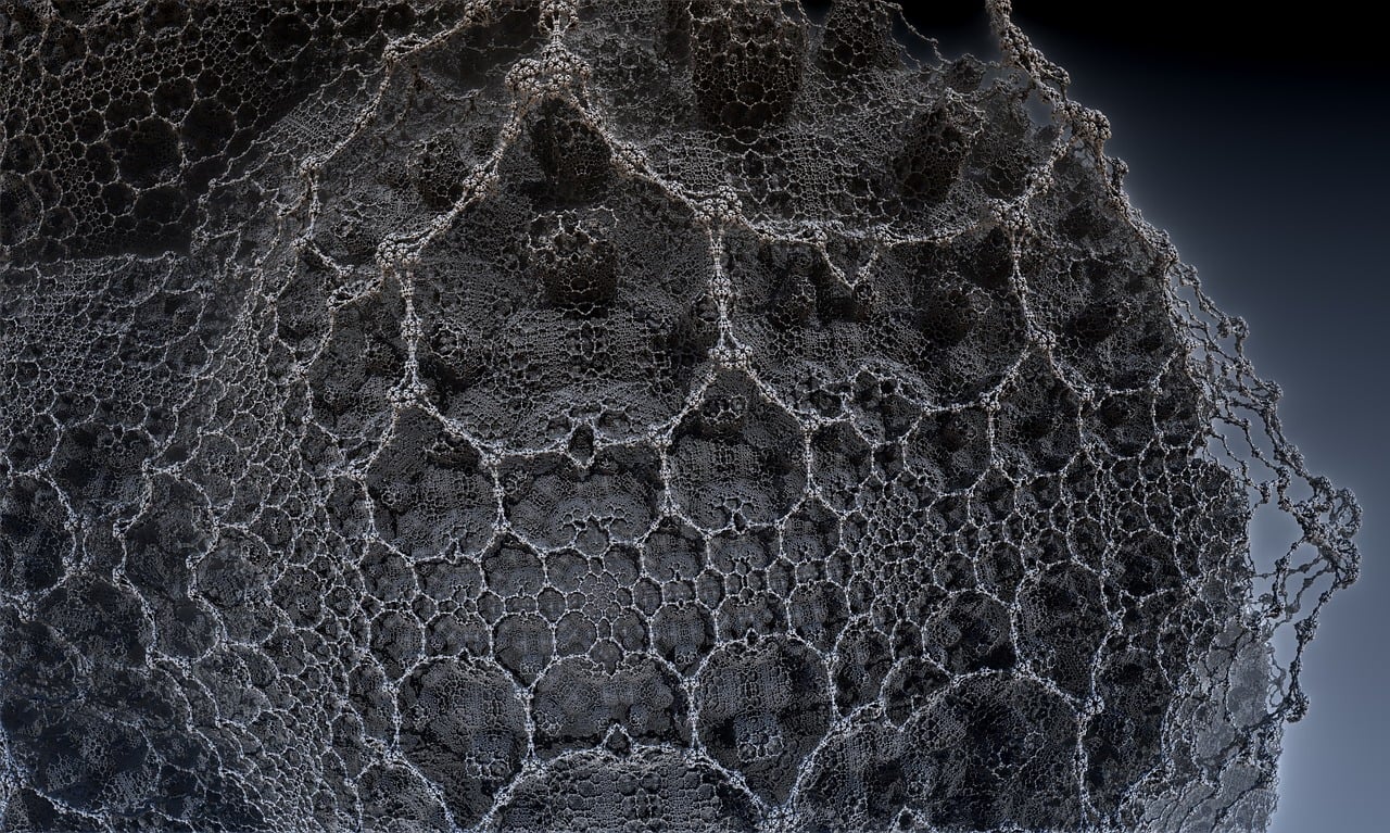 福州返崗動(dòng)態(tài)更新，城市復(fù)蘇與職場(chǎng)新篇章