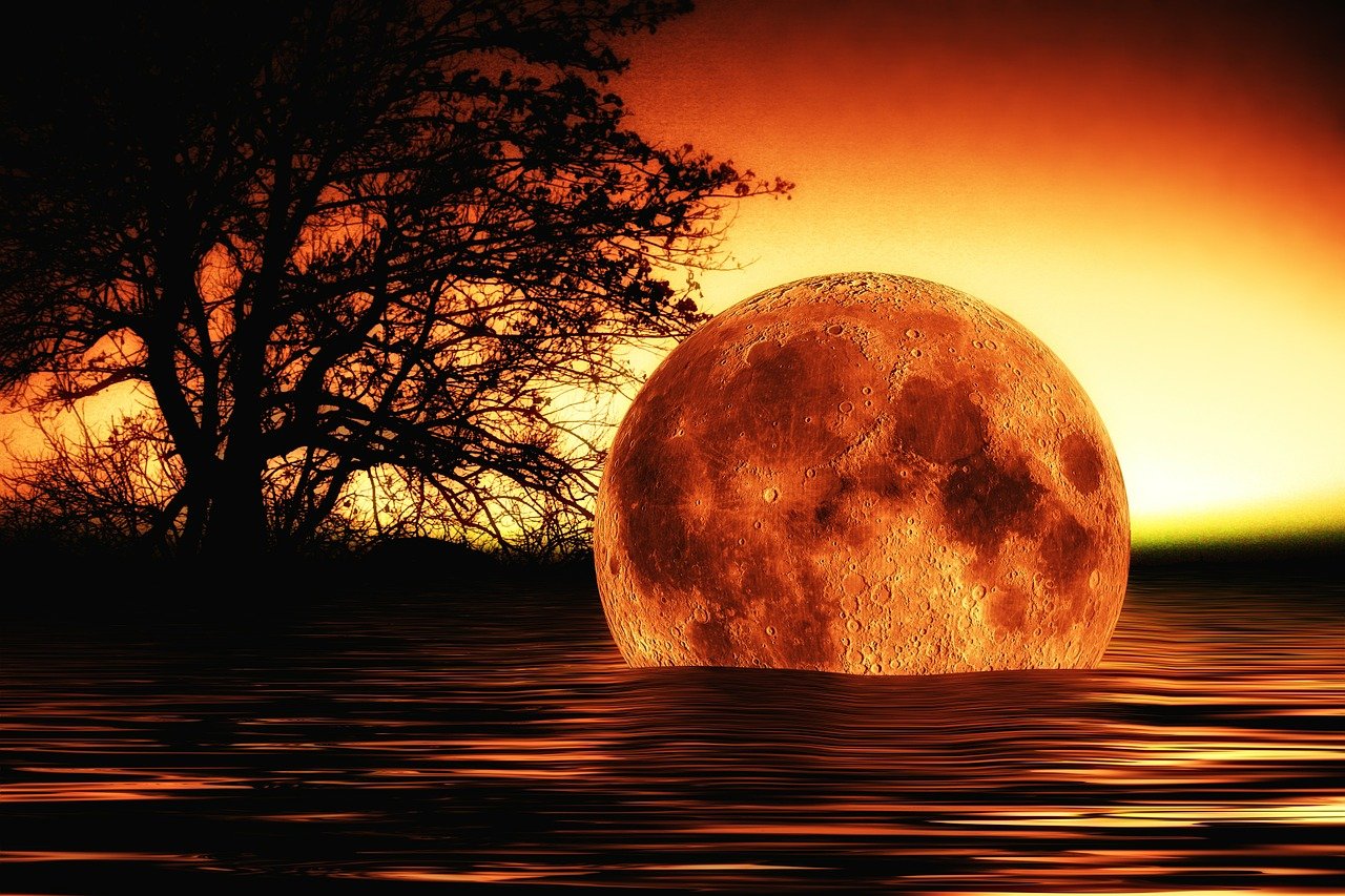 末日崩塌在線免費(fèi)觀看，災(zāi)難中的生存與希望完整版電影