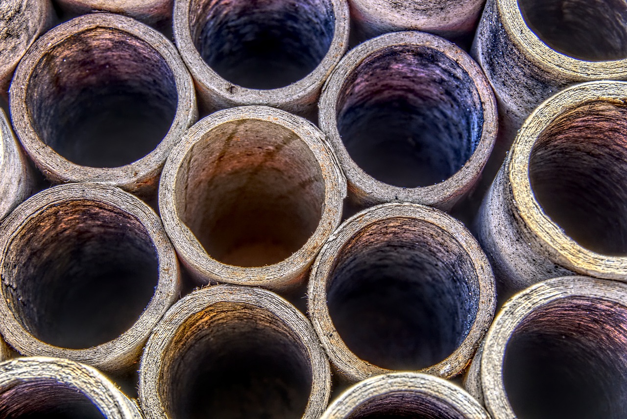 垃圾分類動態(tài)資訊，引領(lǐng)環(huán)保新潮流的先鋒資訊報道