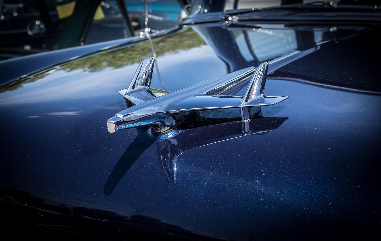 精選國(guó)內(nèi)最新內(nèi)容，探索時(shí)代前沿，把握發(fā)展動(dòng)態(tài)