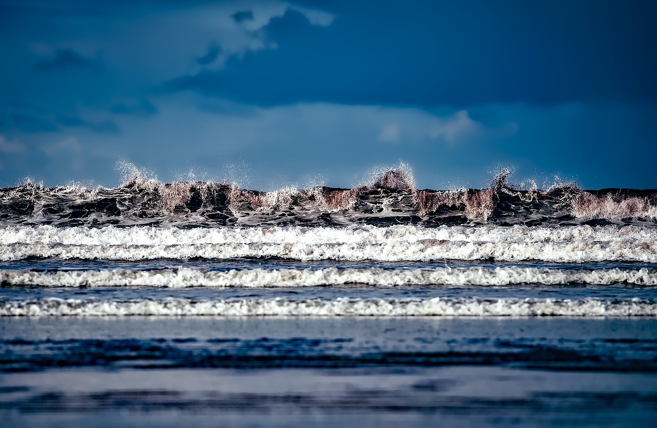 巴南區(qū)陳剛最新動態(tài)，引領(lǐng)發(fā)展，塑造未來之路