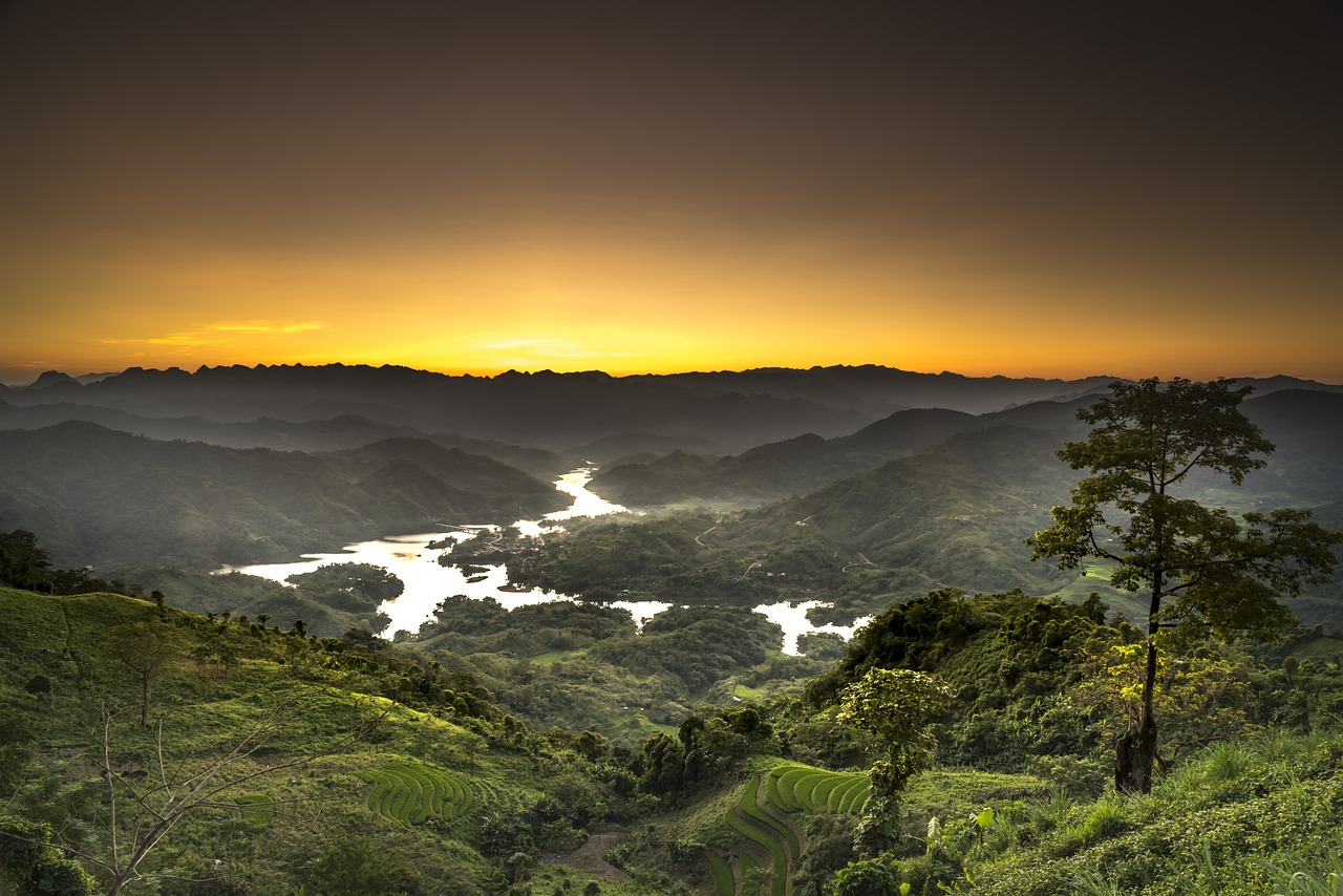 陌陌最新動(dòng)態(tài)揭秘，探索社交領(lǐng)域的創(chuàng)新步伐