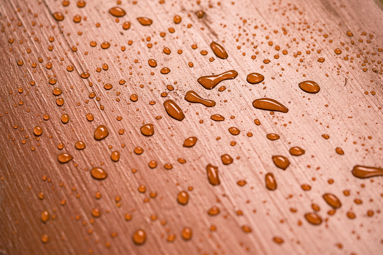 郟縣人事調(diào)整重塑領(lǐng)導(dǎo)架構(gòu)，推動(dòng)縣域經(jīng)濟(jì)高質(zhì)量發(fā)展最新動(dòng)態(tài)