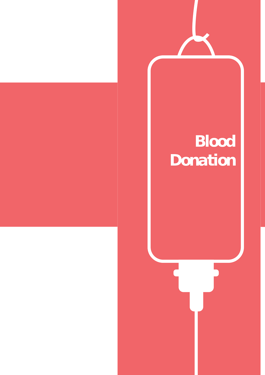 2017年西瓜最新行情分析，市場動態(tài)與趨勢展望