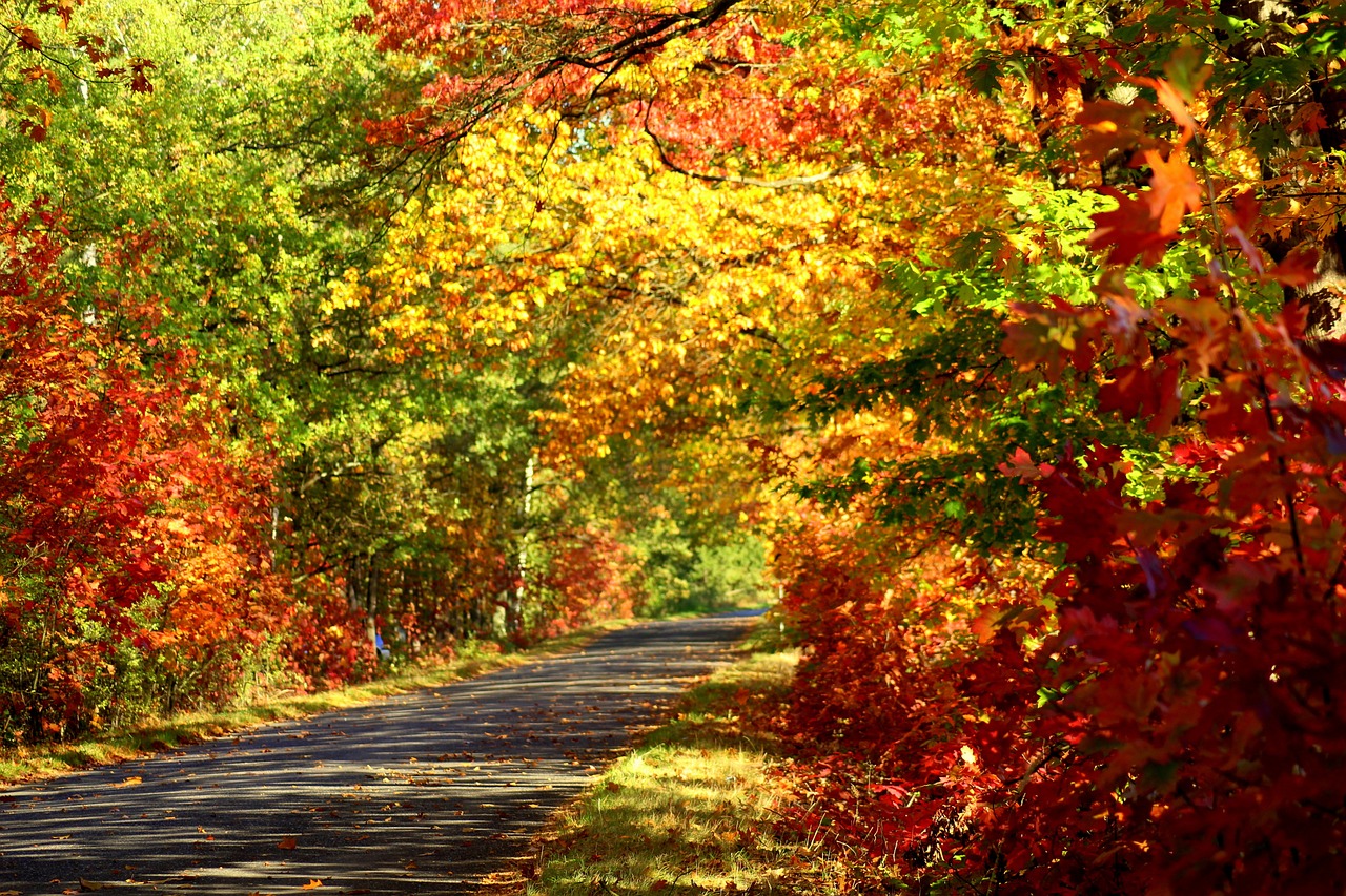 朱迅事業(yè)與生活最新動(dòng)態(tài)，多彩篇章繼續(xù)展開