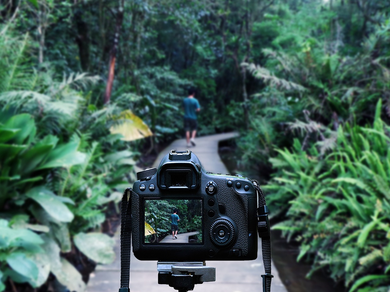 佟蔓最新動態(tài)揭秘，成長與變遷的探尋之旅
