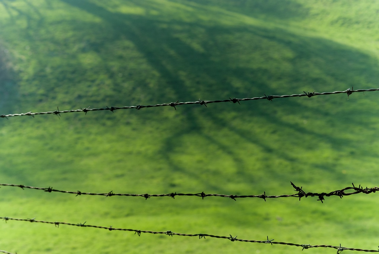 內(nèi)蒙古電視臺，草原文化的傳播與地方特色展示的重要窗口