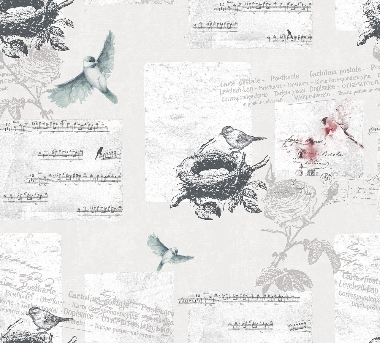 小動物比賽的精彩瞬間與回憶作文