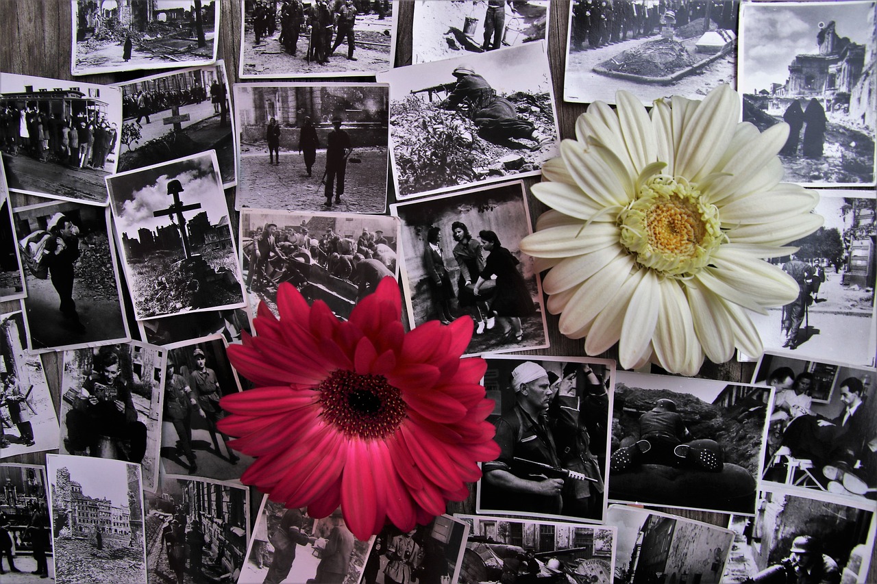 知青電影，歷史記憶與時(shí)代情懷的交融呈現(xiàn)