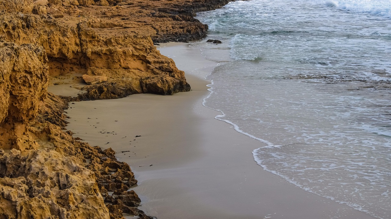 河北卓達(dá)集團(tuán)邁向高質(zhì)量發(fā)展新征程，創(chuàng)新引領(lǐng)最新動(dòng)態(tài)
