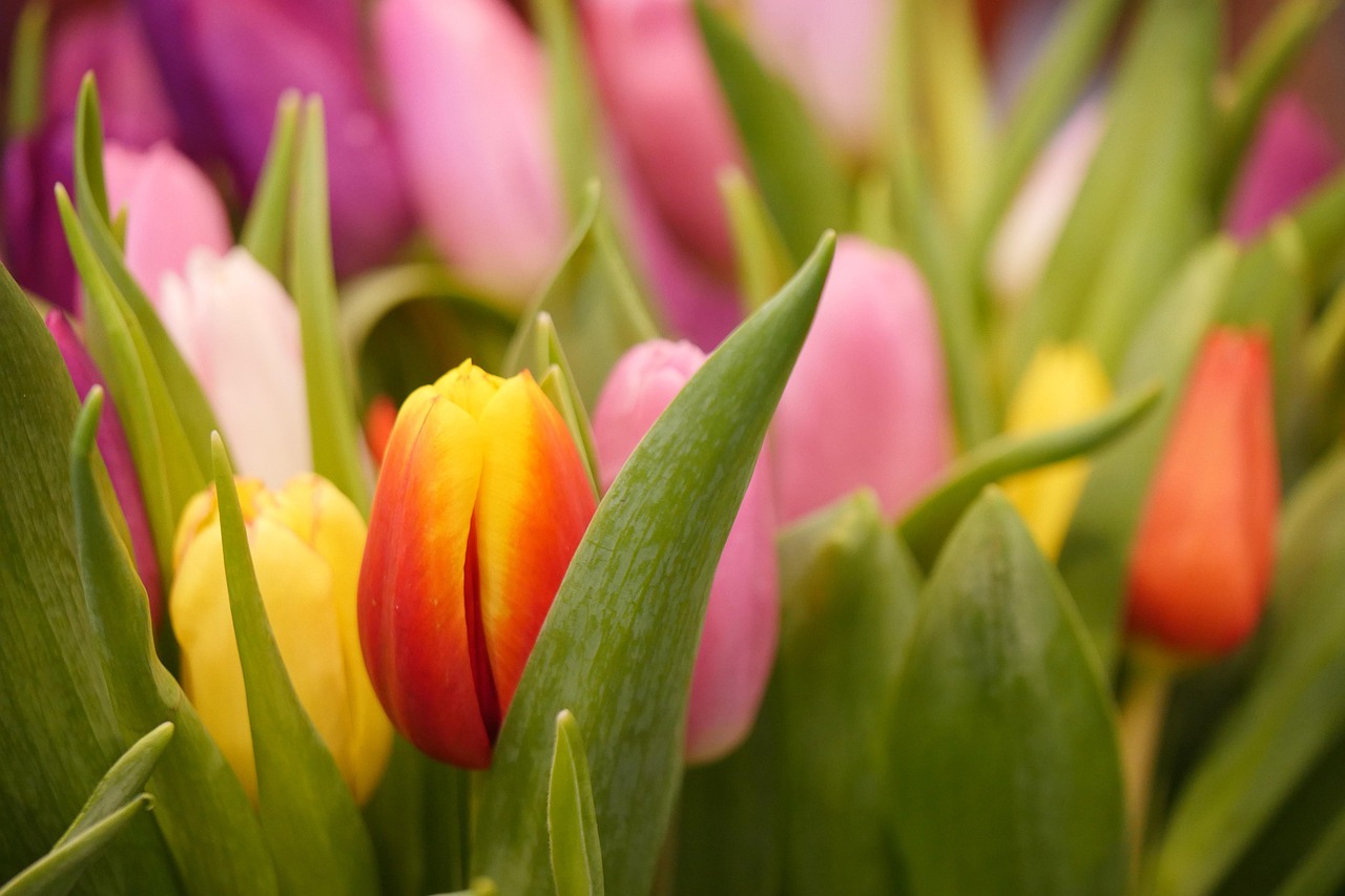 清風(fēng)不語 第14頁