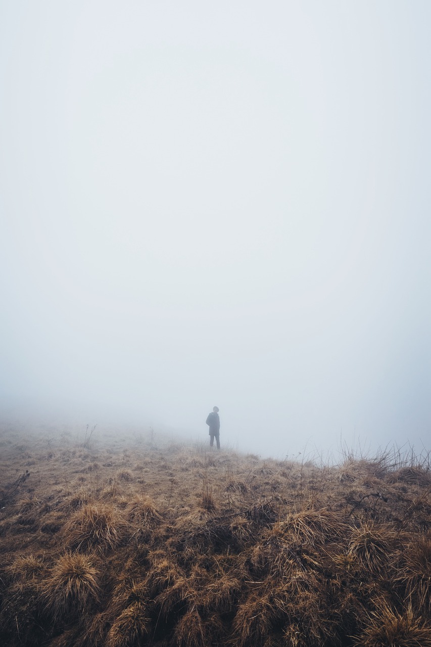 最新中文字幕電影，探索與賞析之旅