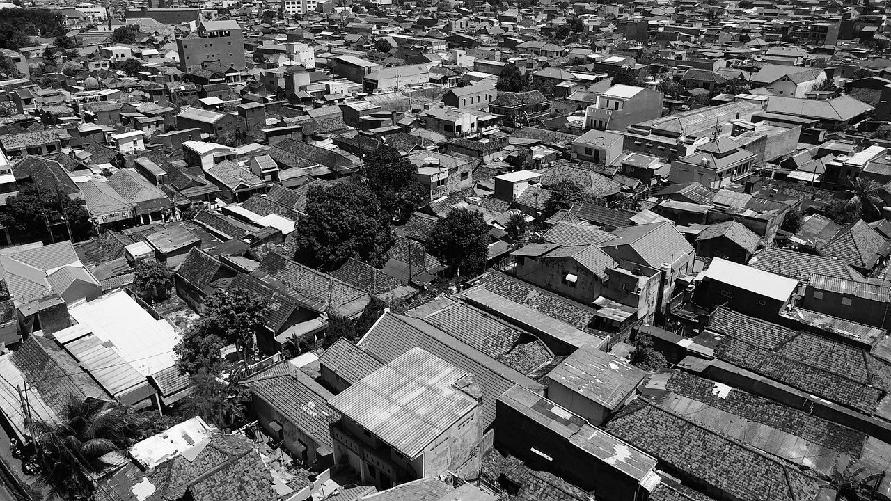 鳩江區(qū)白茆鎮(zhèn)最新資訊概覽，全面解讀鎮(zhèn)內(nèi)動(dòng)態(tài)與要聞