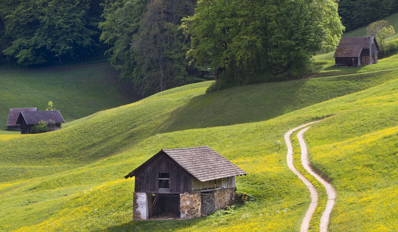 梅州最新新聞深度解析，動(dòng)態(tài)報(bào)道與熱點(diǎn)聚焦