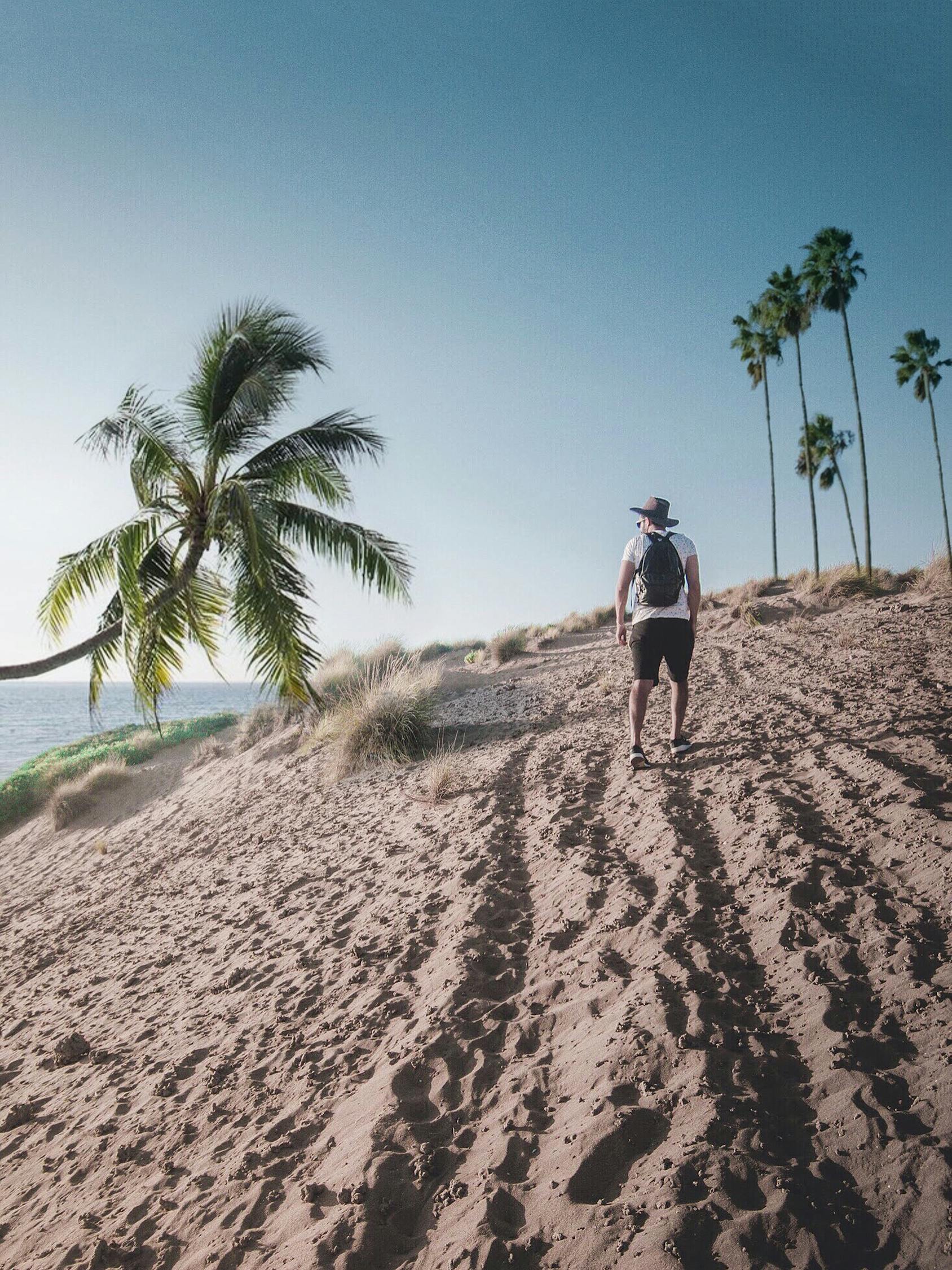 航空資訊快報(bào)，探索藍(lán)天新動(dòng)態(tài)與技術(shù)前沿