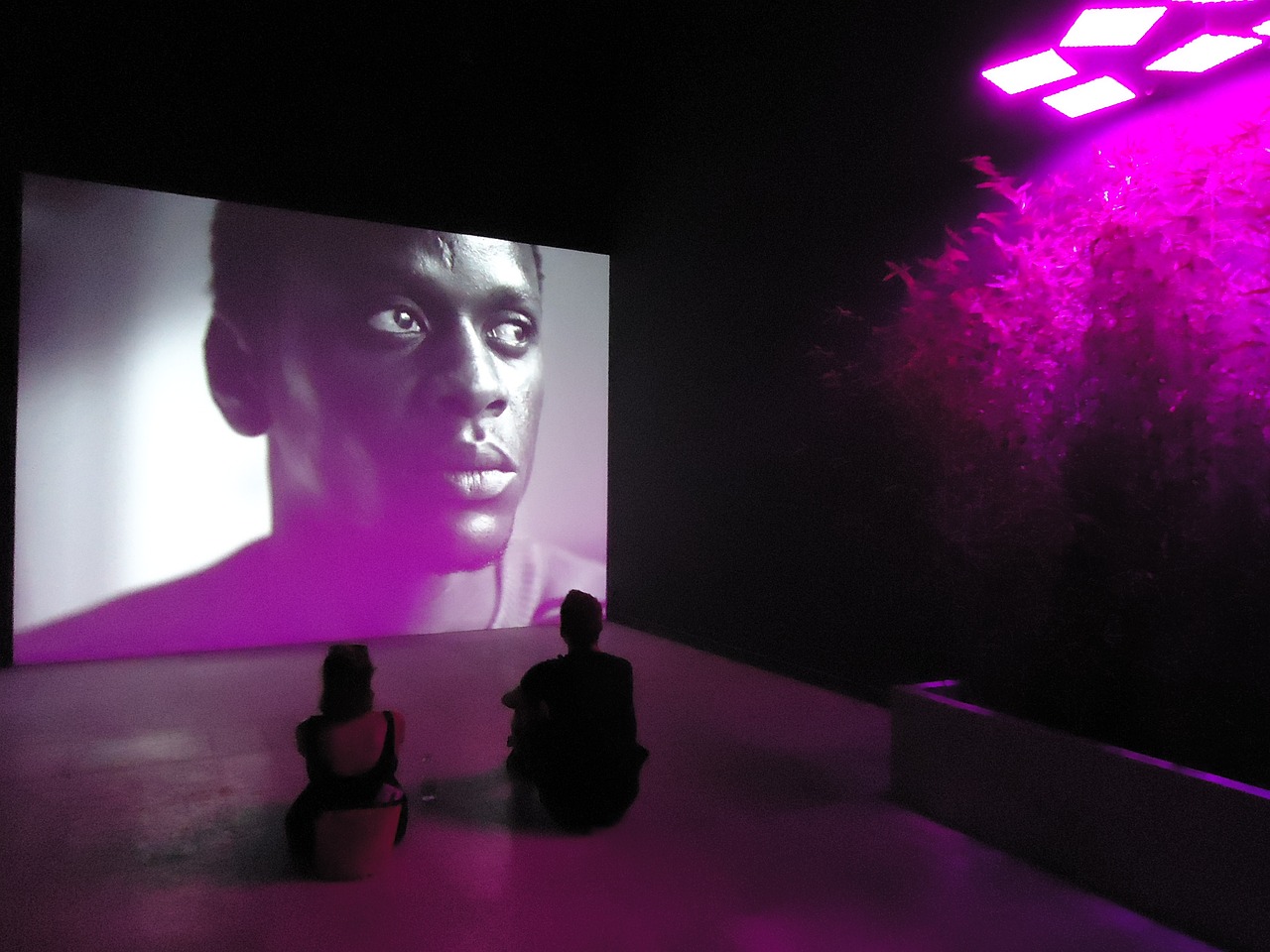 淺夏涼眸 第13頁