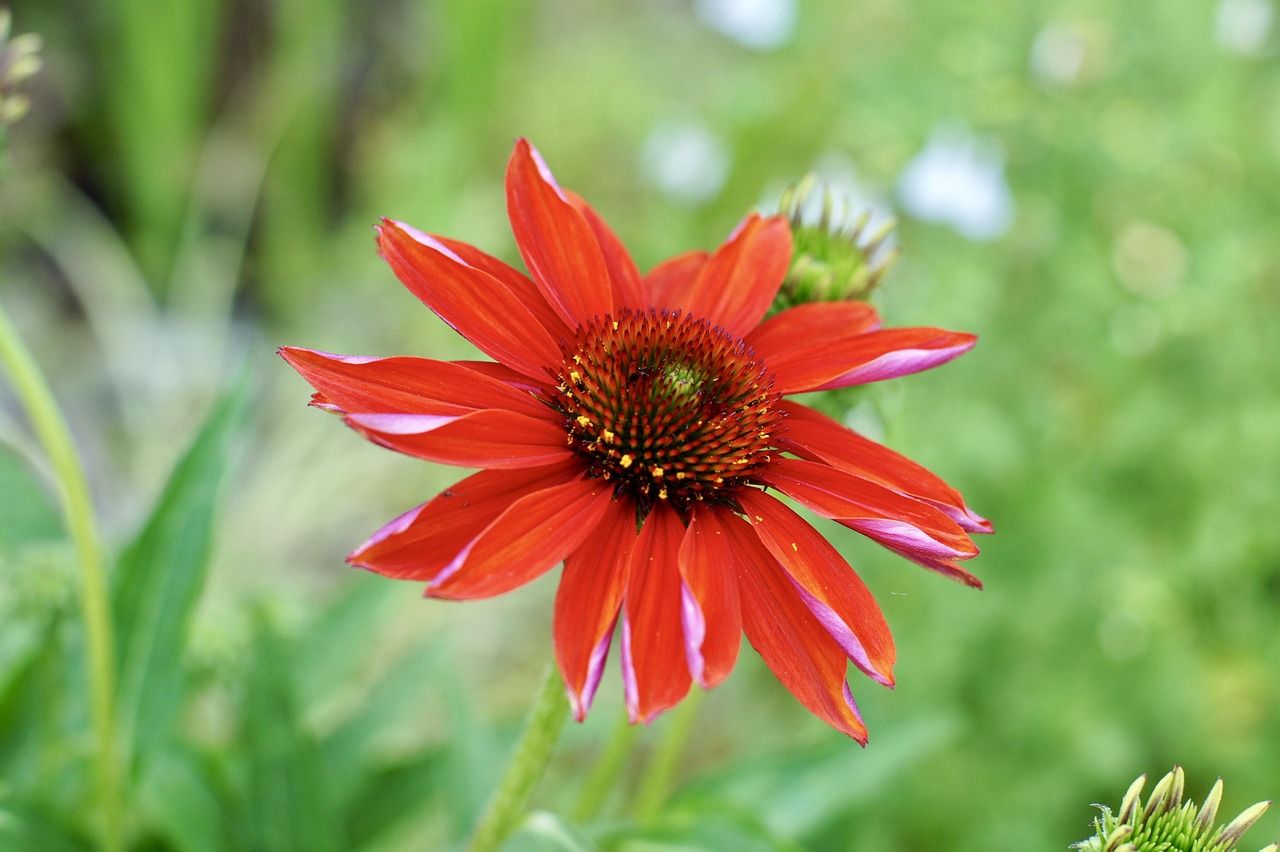 杰森·斯坦森最新動(dòng)態(tài)，星途璀璨與生活熱血前行