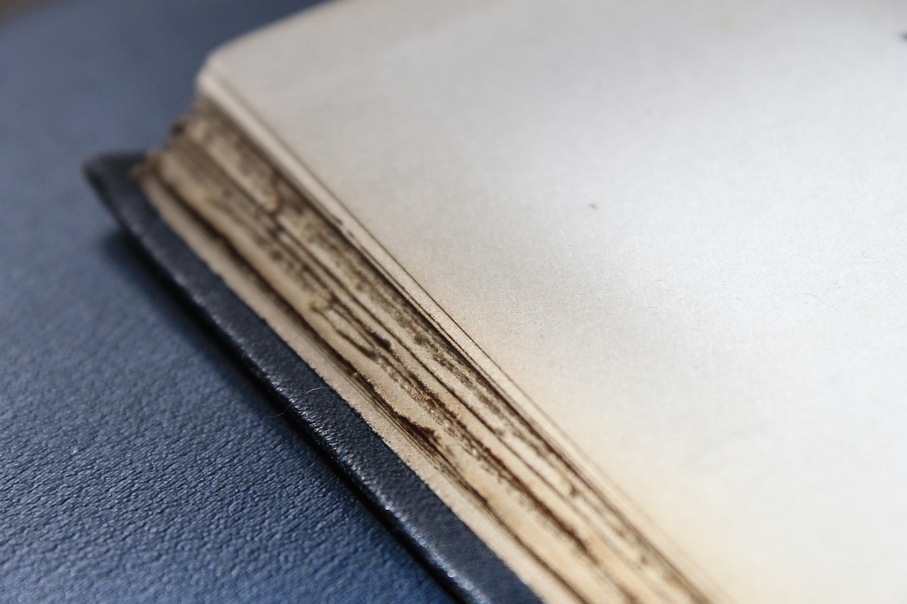 安國(guó)門店面租賃最新動(dòng)態(tài)揭秘，最新租賃趨勢(shì)與熱門店鋪資訊